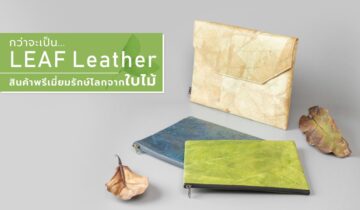 กว่าจะเป็น Leaf Leather สินค้าพรีเมี่ยมรักษ์โลกจากใบไม้