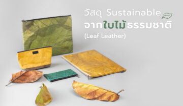 วัสดุ Sustainable จากใบไม้ธรรมชาติ (Leaf Leather)