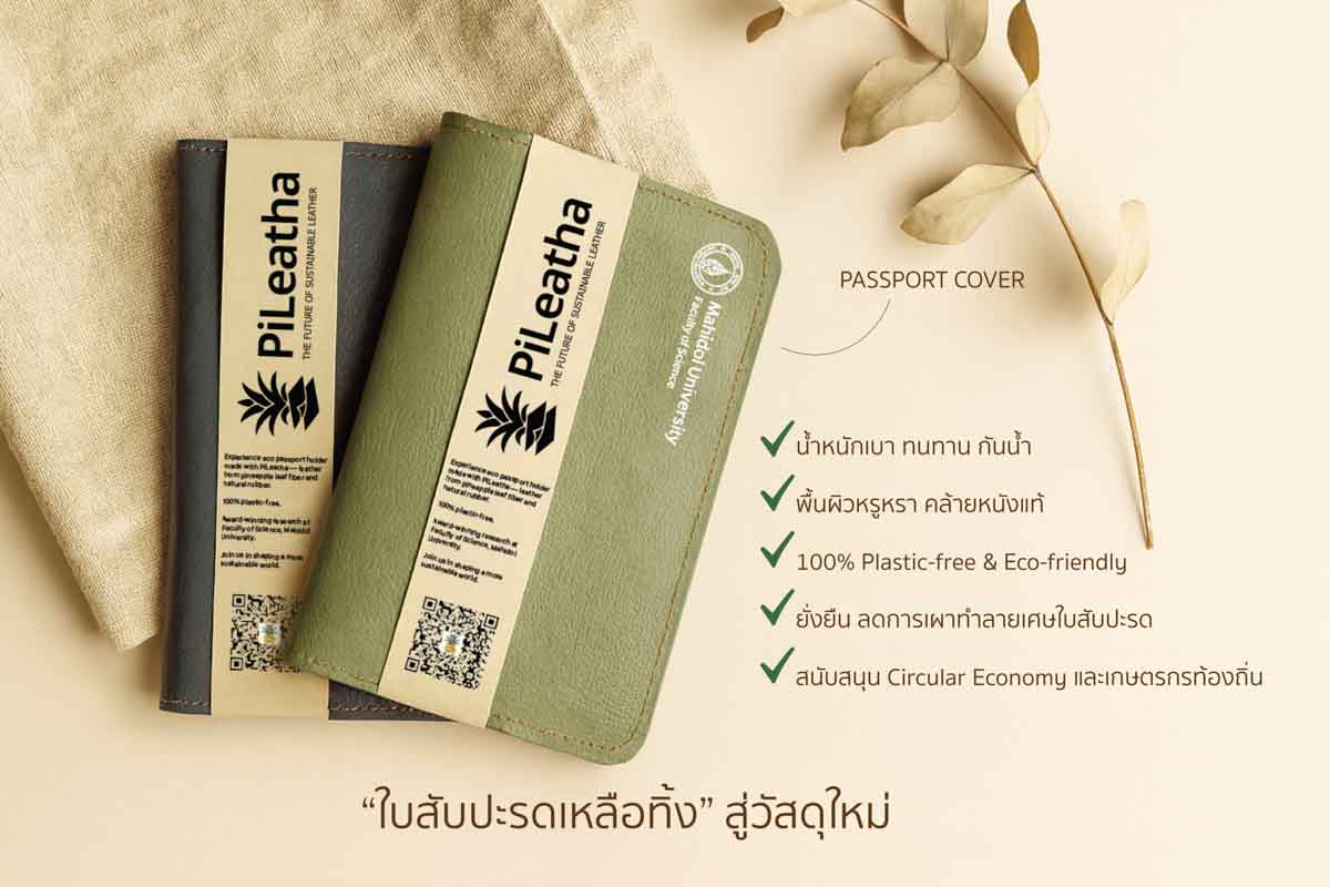 หนังรีไซเคิลจากสับปะรด 2