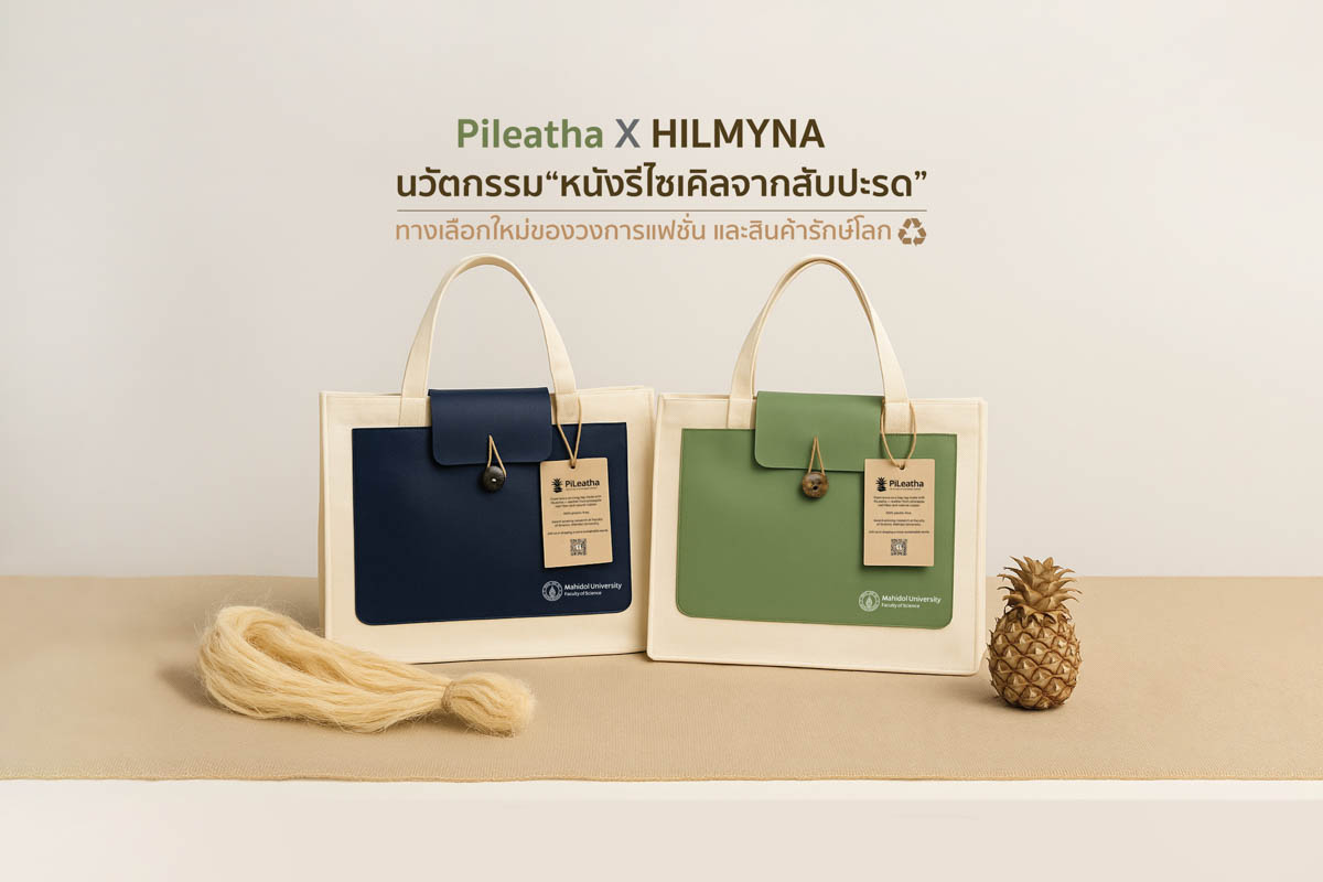 หนังรีไซเคิลจากสับปะรด 6